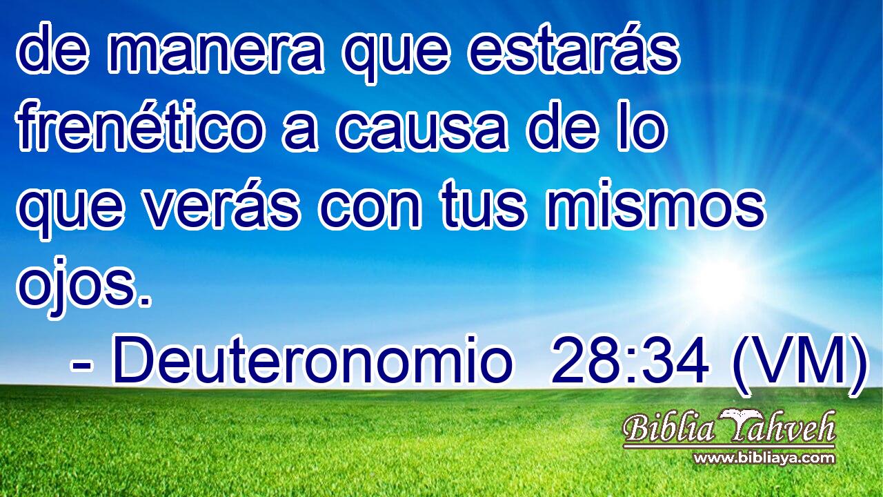  de manera que estarás frenético a causa de lo que verás con tus mismos ojos. 