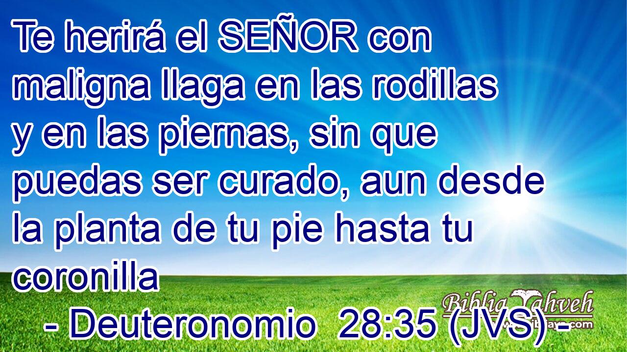 Te herirá el SEÑOR con maligna llaga en las rodillas y en las piernas, sin que puedas ser curado, aun desde la planta de tu pie hasta tu coronilla