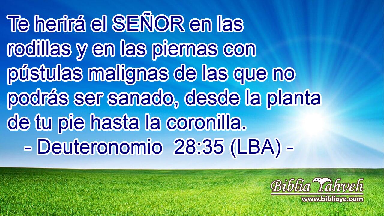 Te herirá el SEÑOR en las rodillas y en las piernas con pústulas malignas de las que no podrás ser sanado, desde la planta de tu pie hasta la coronilla.