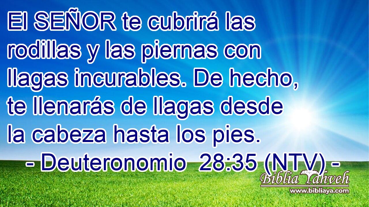 El SEÑOR te cubrirá las rodillas y las piernas con llagas incurables. De hecho, te llenarás de llagas desde la cabeza hasta los pies.