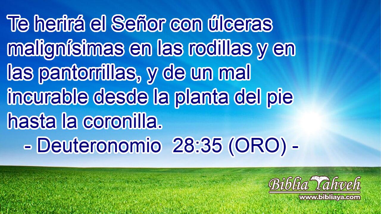  Te herirá el Señor con úlceras malignísimas en las rodillas y en las pantorrillas, y de un mal incurable desde la planta del pie hasta la coronilla. 