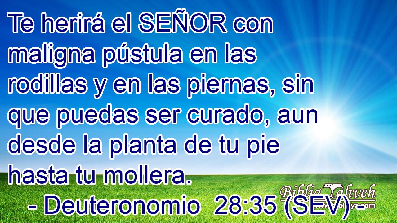 Te herirá el SEÑOR con maligna pústula en las rodillas y en las piernas, sin que puedas ser curado, aun desde la planta de tu pie hasta tu mollera.