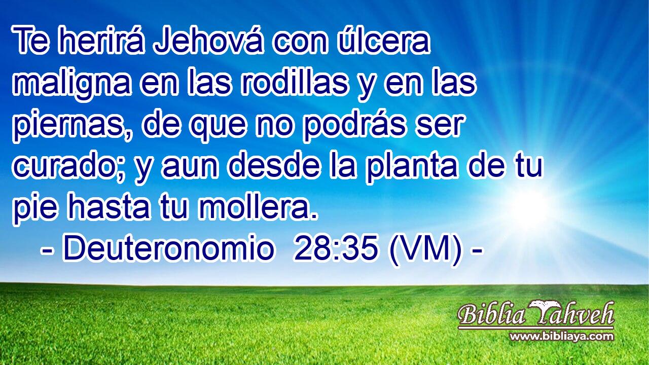  Te herirá Jehová con úlcera maligna en las rodillas y en las piernas, de que no podrás ser curado; y aun desde la planta de tu pie hasta tu mollera. 