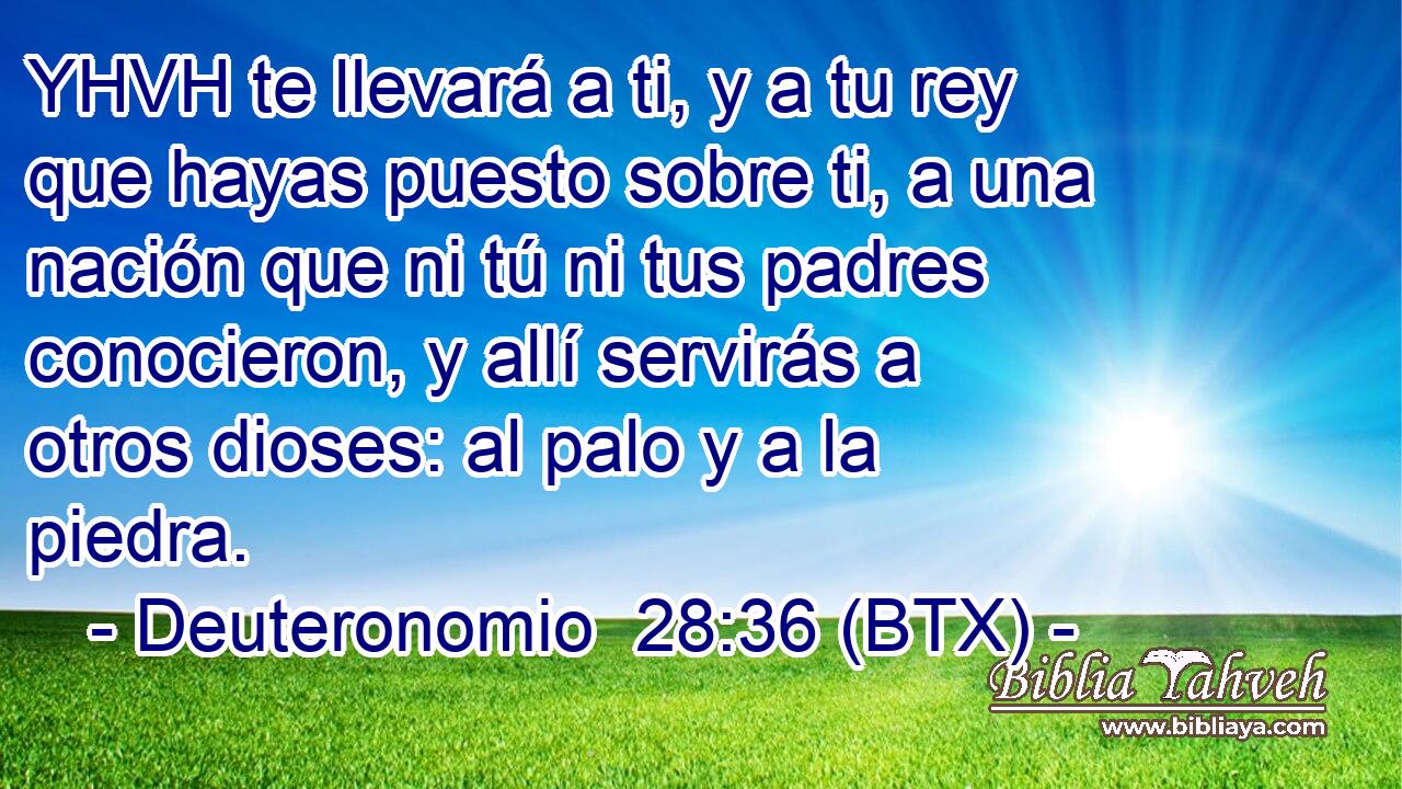 YHVH te llevará a ti, y a tu rey que hayas puesto sobre ti, a una nación que ni tú ni tus padres conocieron, y allí servirás a otros dioses: al palo y a la piedra.