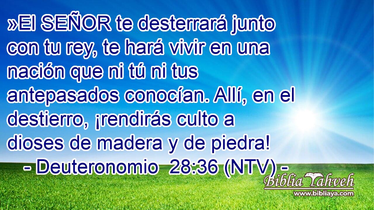 »El SEÑOR te desterrará junto con tu rey, te hará vivir en una nación que ni tú ni tus antepasados conocían. Allí, en el destierro, ¡rendirás culto a dioses de madera y de piedra!