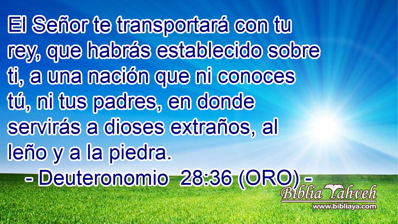  El Señor te transportará con tu rey, que habrás establecido sobre ti, a una nación que ni conoces tú, ni tus padres, en donde servirás a dioses extraños, al leño y a la piedra. 