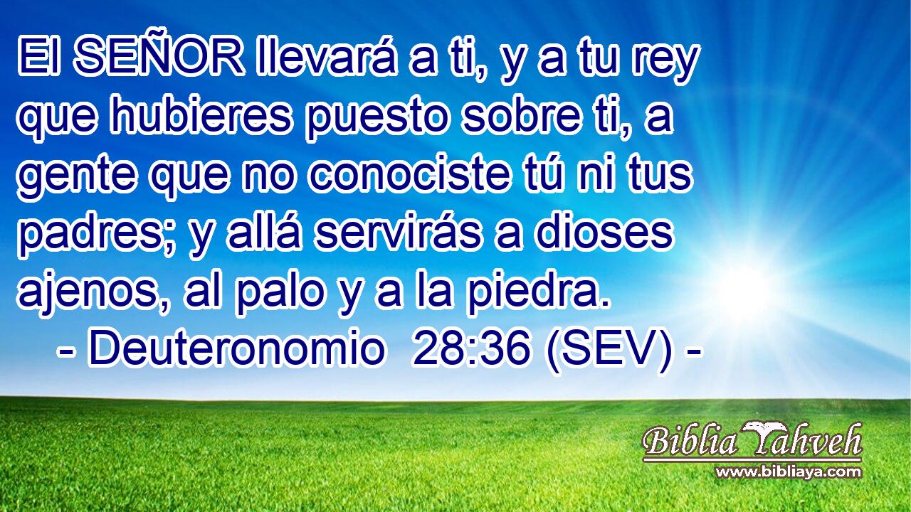 El SEÑOR llevará a ti, y a tu rey que hubieres puesto sobre ti, a gente que no conociste tú ni tus padres; y allá servirás a dioses ajenos, al palo y a la piedra.