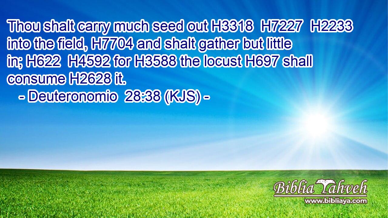 Thou shalt carry much seed out H3318  H7227  H2233 into the field, H7704 and shalt gather but little in; H622  H4592 for H3588 the locust H697 shall consume H2628 it.