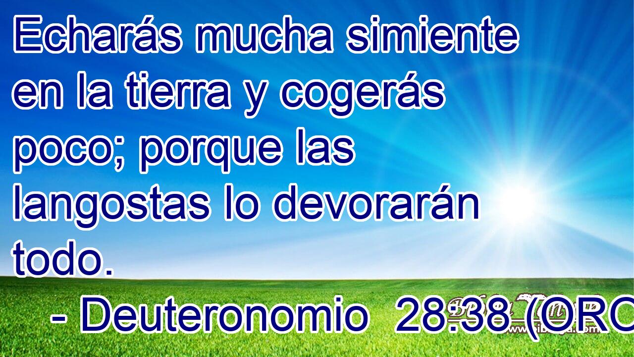  Echarás mucha simiente en la tierra y cogerás poco; porque las langostas lo devorarán todo. 