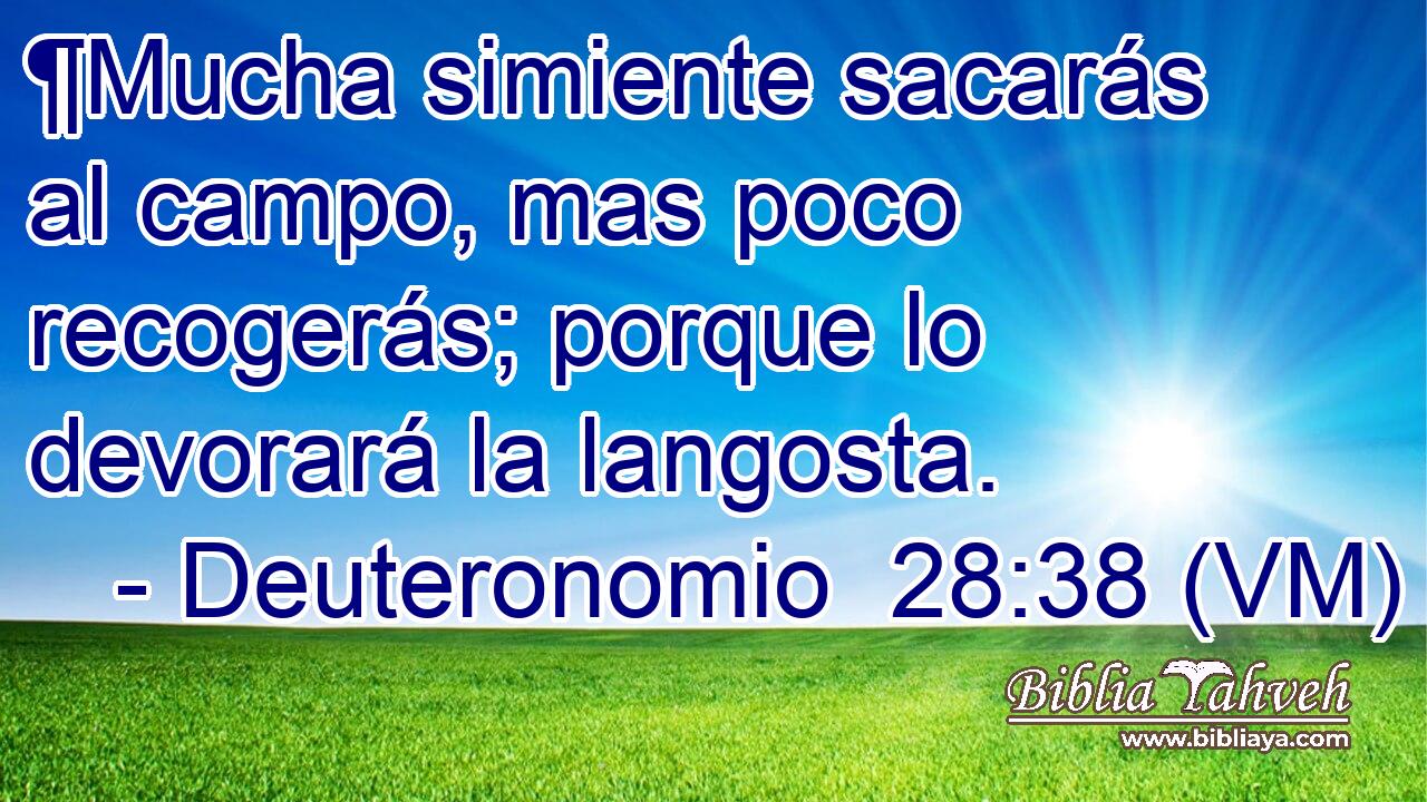  ¶Mucha simiente sacarás al campo, mas poco recogerás; porque lo devorará la langosta. 