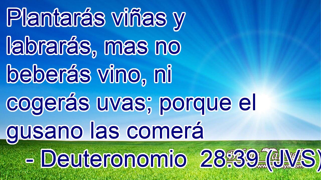 Plantarás viñas y labrarás, mas no beberás vino, ni cogerás uvas; porque el gusano las comerá