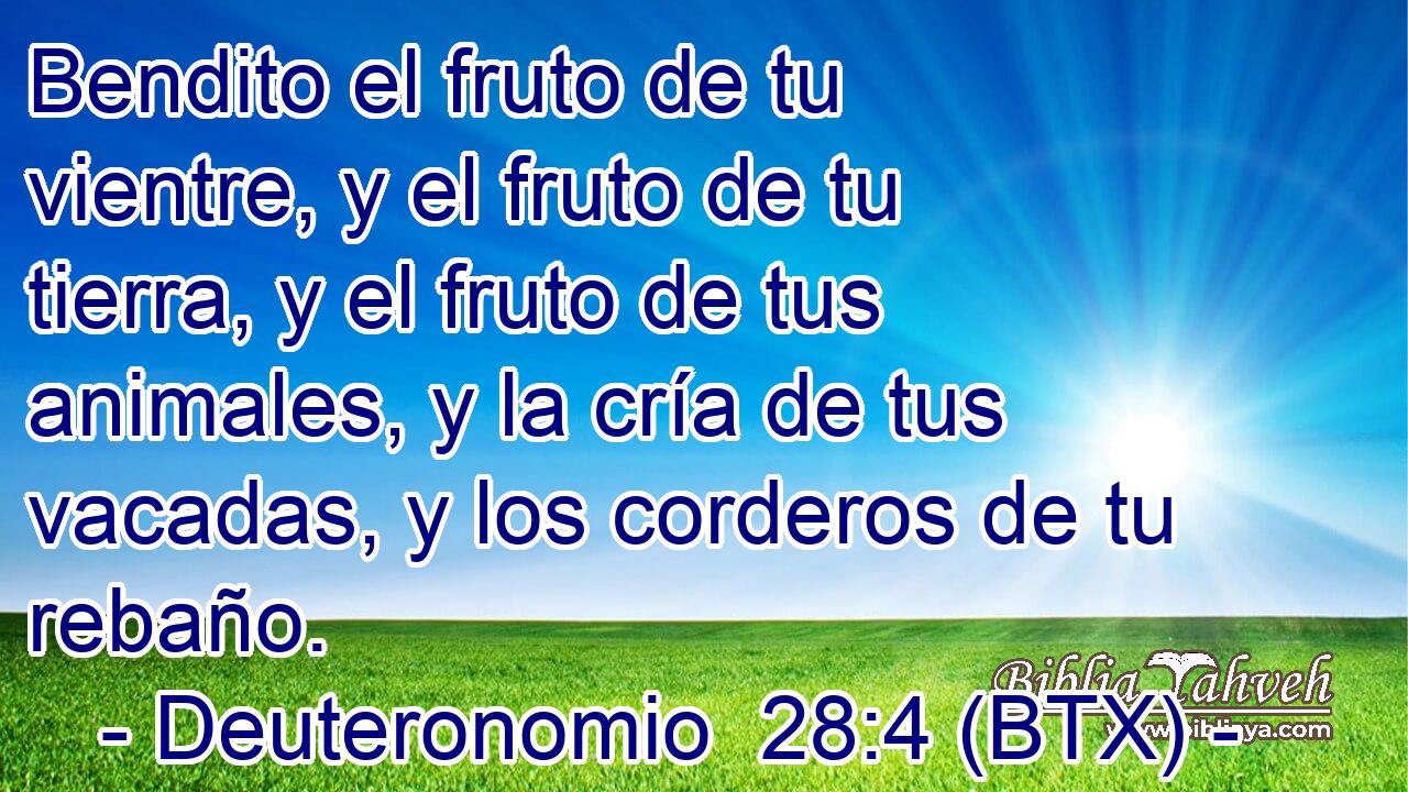 Bendito el fruto de tu vientre, y el fruto de tu tierra, y el fruto de tus animales, y la cría de tus vacadas, y los corderos de tu rebaño.