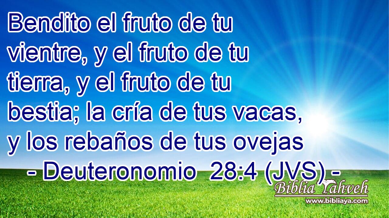 Bendito el fruto de tu vientre, y el fruto de tu tierra, y el fruto de tu bestia; la cría de tus vacas, y los rebaños de tus ovejas
