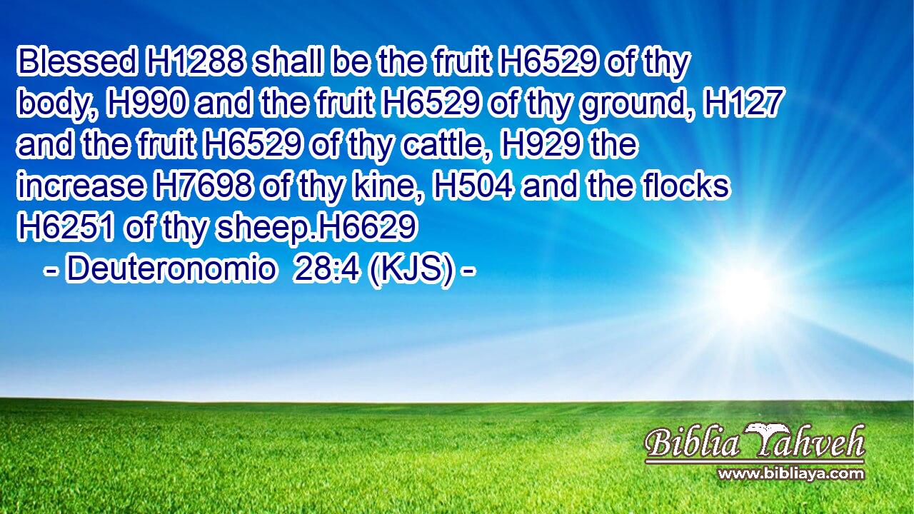 Blessed H1288 shall be the fruit H6529 of thy body, H990 and the fruit H6529 of thy ground, H127 and the fruit H6529 of thy cattle, H929 the increase H7698 of thy kine, H504 and the flocks H6251 of thy sheep.H6629
