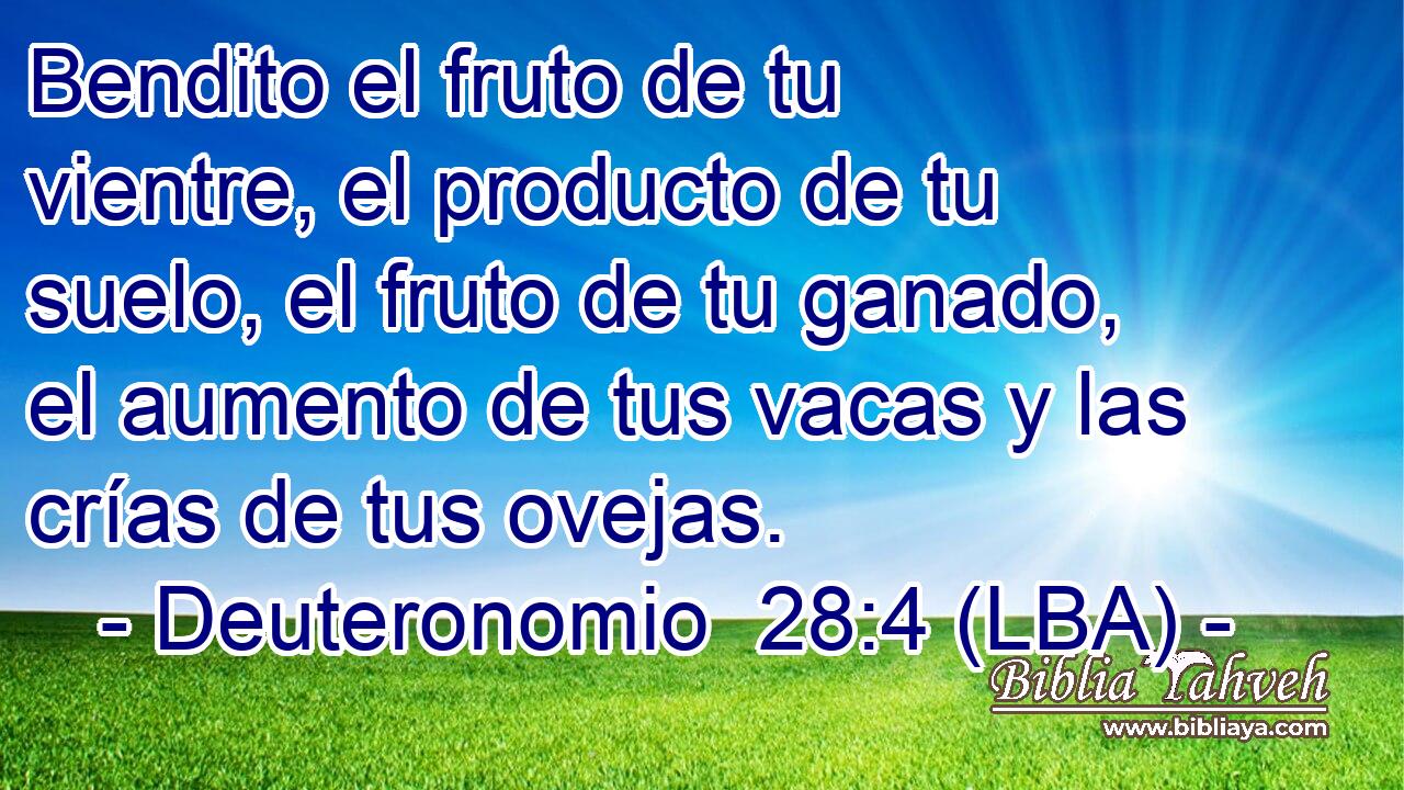 Bendito el fruto de tu vientre, el producto de tu suelo, el fruto de tu ganado, el aumento de tus vacas y las crías de tus ovejas.