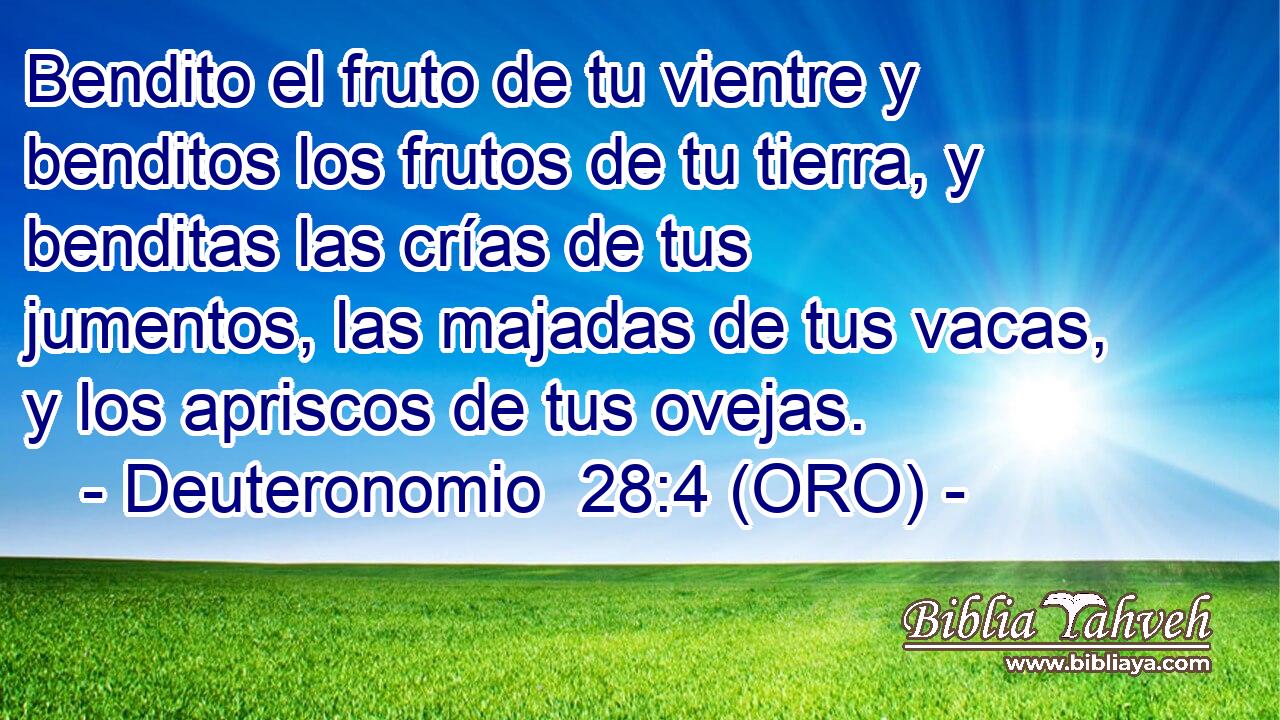  Bendito el fruto de tu vientre y benditos los frutos de tu tierra, y benditas las crías de tus jumentos, las majadas de tus vacas, y los apriscos de tus ovejas. 