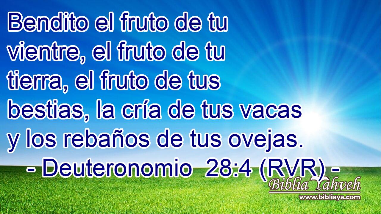 Bendito el fruto de tu vientre, el fruto de tu tierra, el fruto de tus bestias, la cría de tus vacas y los rebaños de tus ovejas.