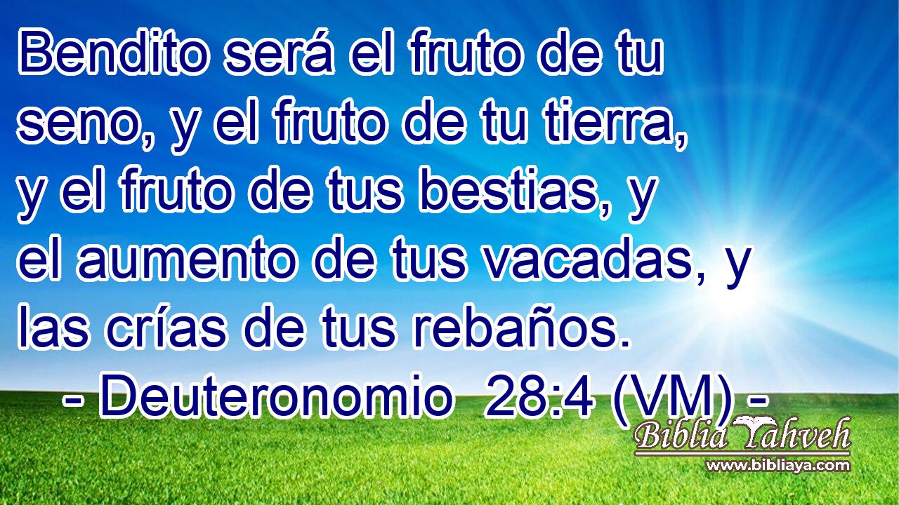  Bendito será el fruto de tu seno, y el fruto de tu tierra, y el fruto de tus bestias, y el aumento de tus vacadas, y las crías de tus rebaños. 