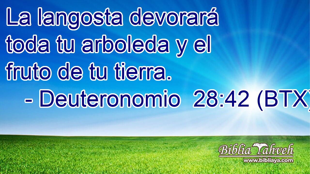 La langosta devorará toda tu arboleda y el fruto de tu tierra.