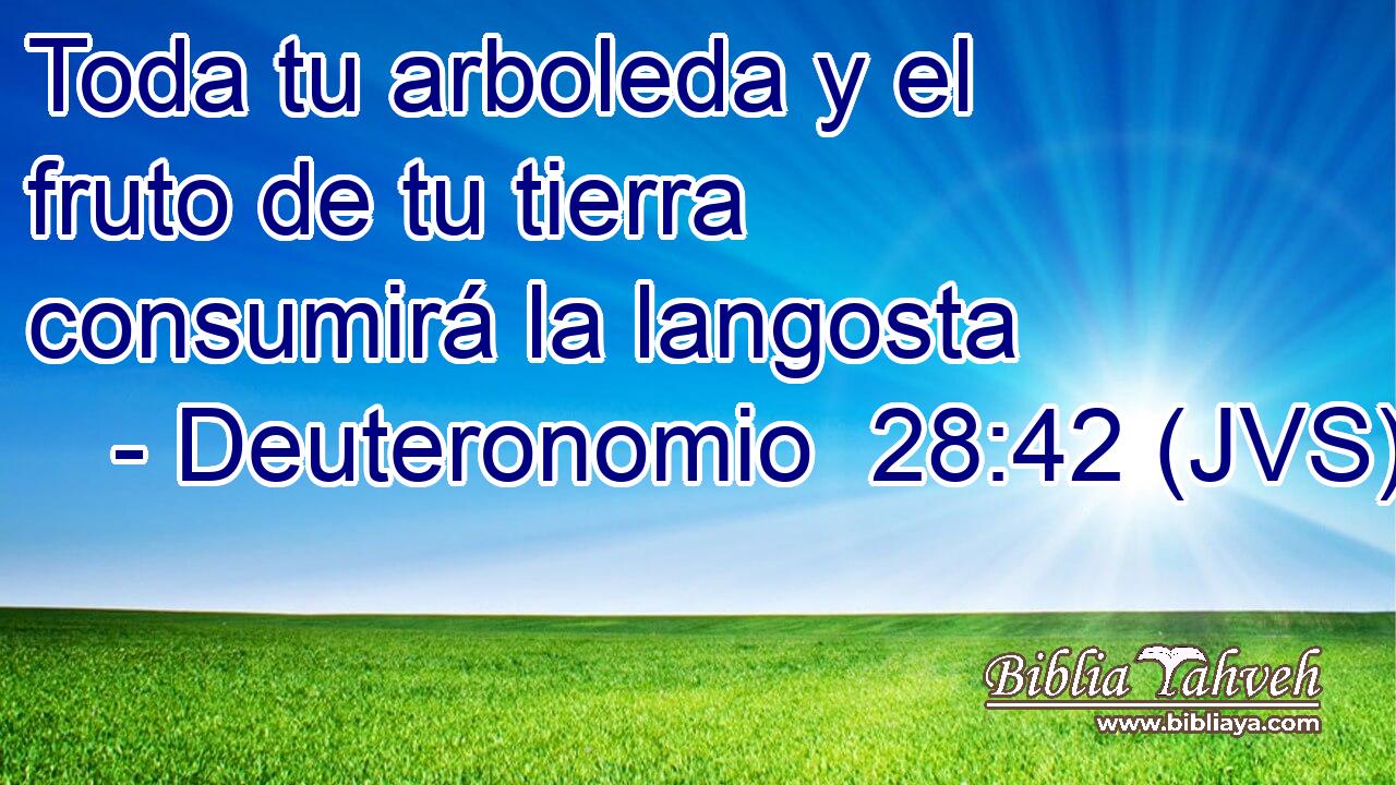 Toda tu arboleda y el fruto de tu tierra consumirá la langosta