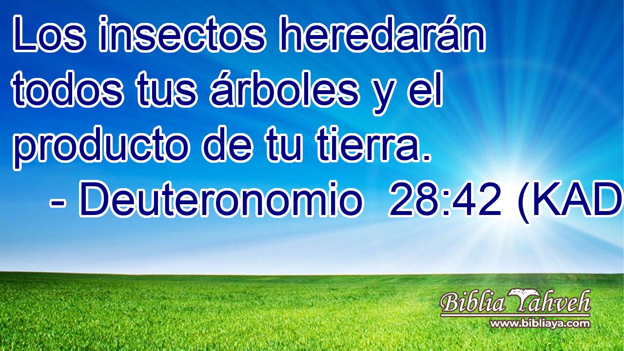  Los insectos heredarán todos tus árboles y el producto de tu tierra. 