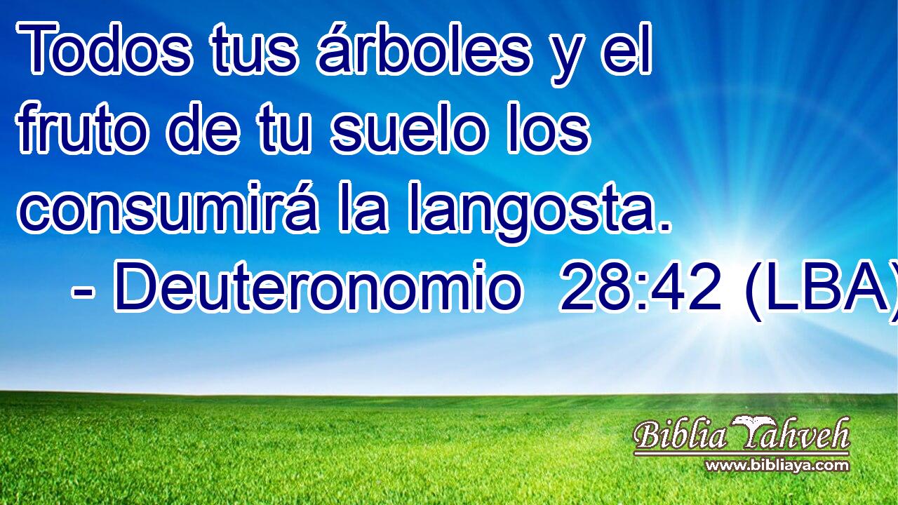Todos tus árboles y el fruto de tu suelo los consumirá la langosta.