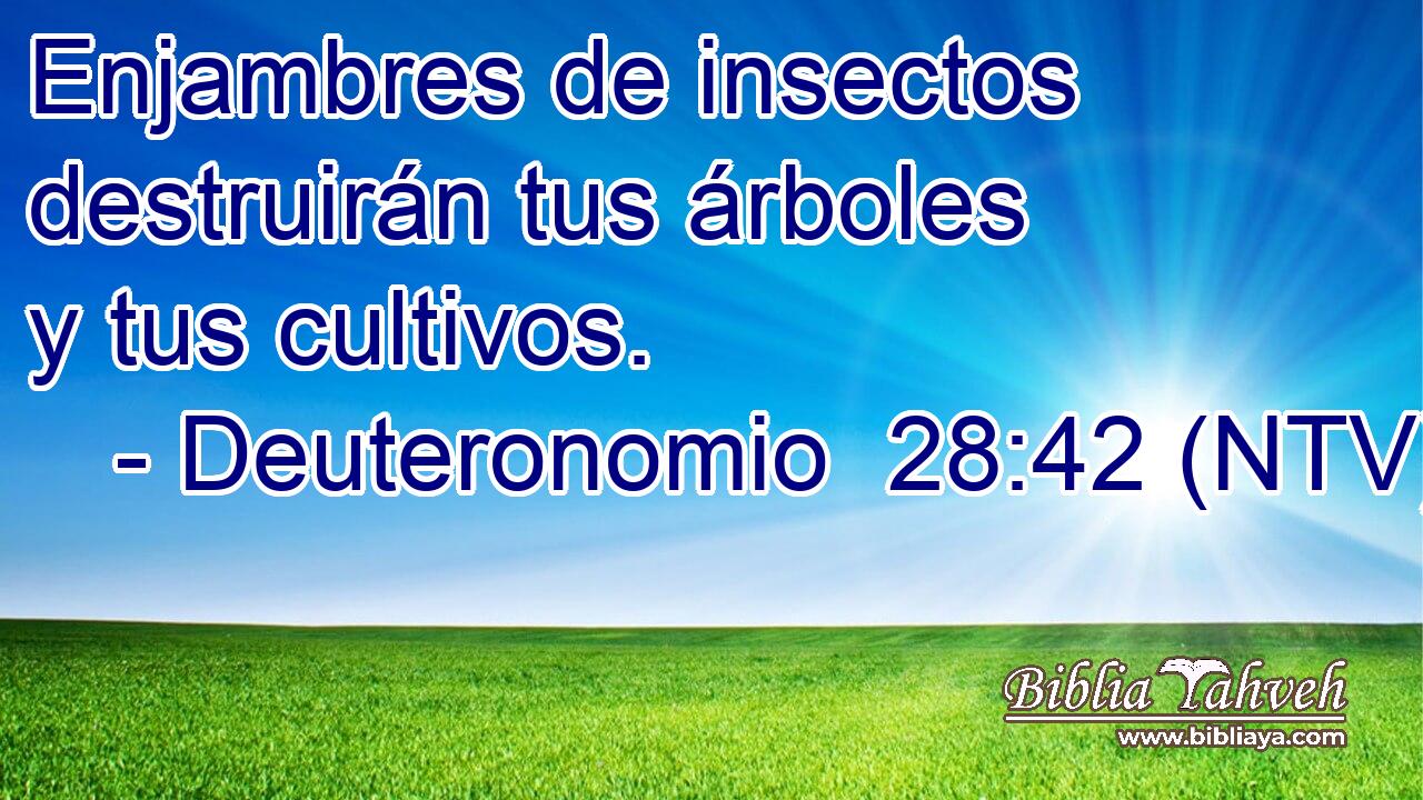 Enjambres de insectos destruirán tus árboles y tus cultivos.