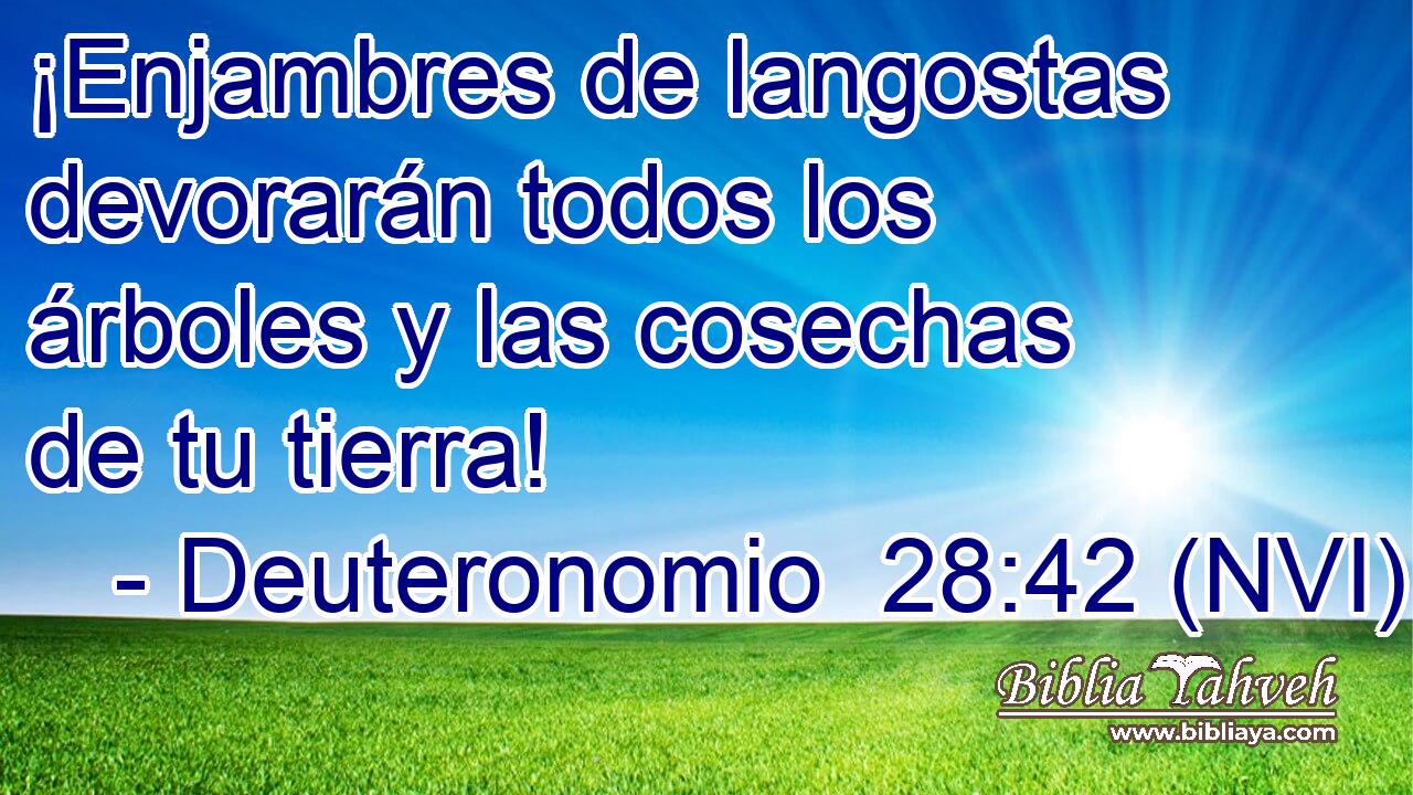  ¡Enjambres de langostas devorarán todos los árboles y las cosechas de tu tierra! 