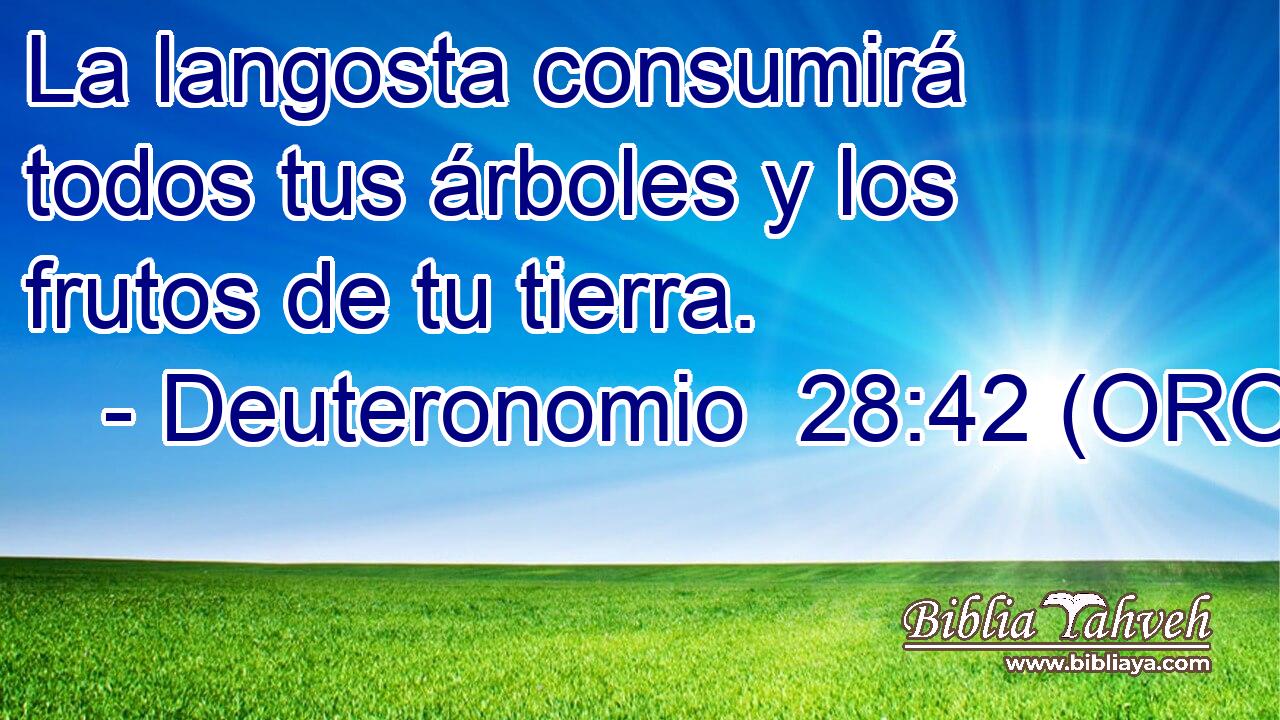  La langosta consumirá todos tus árboles y los frutos de tu tierra. 