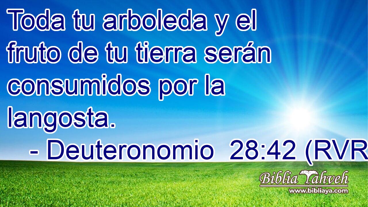 Toda tu arboleda y el fruto de tu tierra serán consumidos por la langosta.