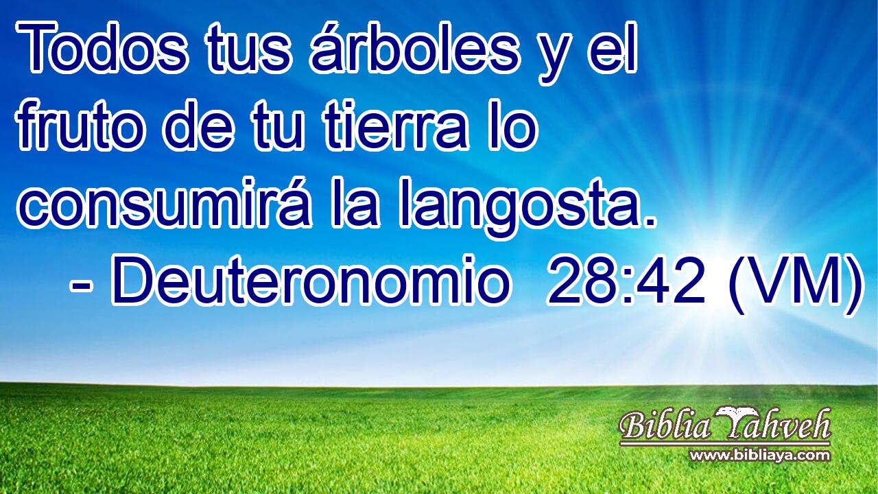  Todos tus árboles y el fruto de tu tierra lo consumirá la langosta. 