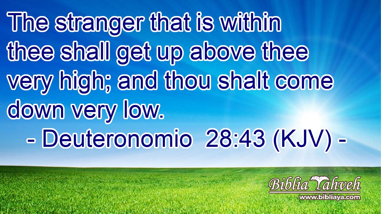 The stranger that is within thee shall get up above thee very high; and thou shalt come down very low.