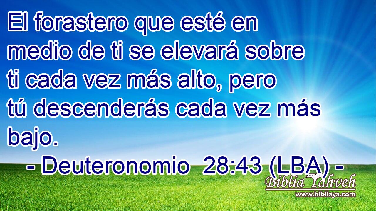 El forastero que esté en medio de ti se elevará sobre ti cada vez más alto, pero tú descenderás cada vez más bajo.