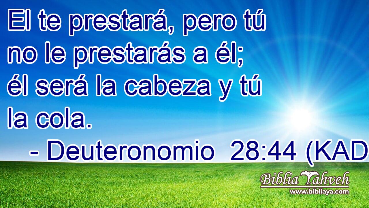  El te prestará, pero tú no le prestarás a él; él será la cabeza y tú la cola. 