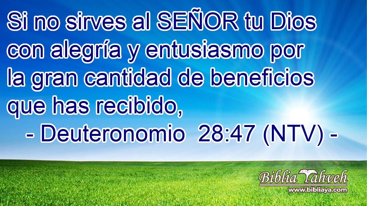 Si no sirves al SEÑOR tu Dios con alegría y entusiasmo por la gran cantidad de beneficios que has recibido,