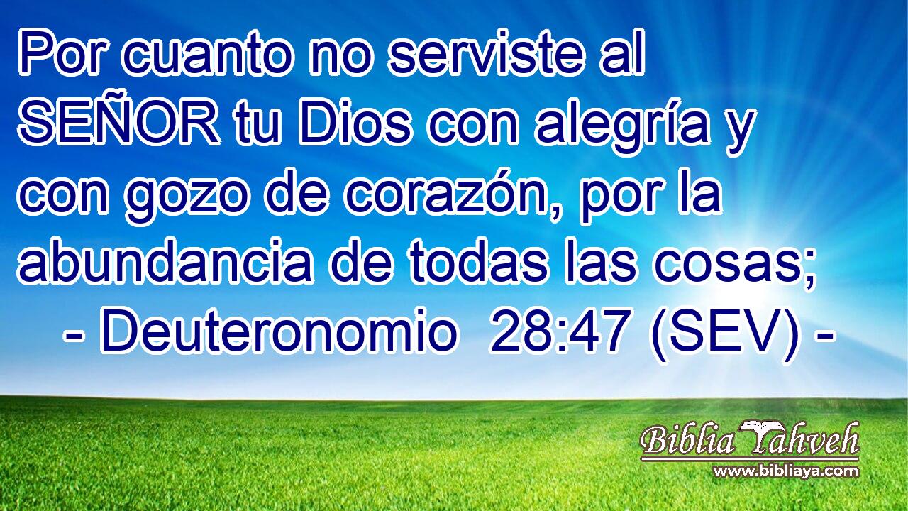 Por cuanto no serviste al SEÑOR tu Dios con alegría y con gozo de corazón, por la abundancia de todas las cosas;