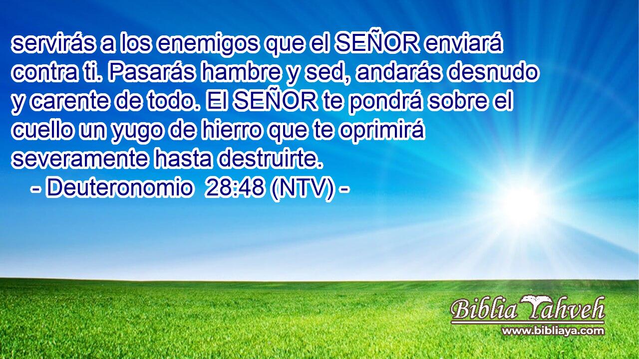 servirás a los enemigos que el SEÑOR enviará contra ti. Pasarás hambre y sed, andarás desnudo y carente de todo. El SEÑOR te pondrá sobre el cuello un yugo de hierro que te oprimirá severamente hasta destruirte.