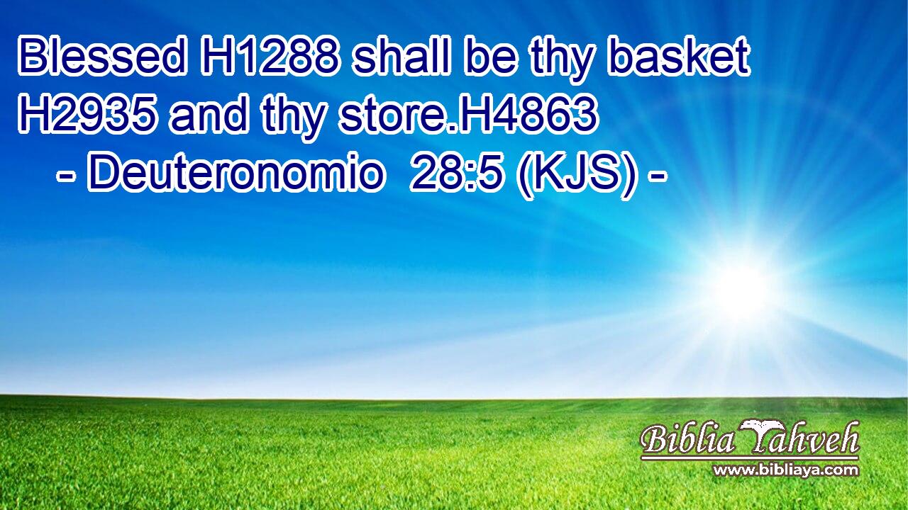 Blessed H1288 shall be thy basket H2935 and thy store.H4863