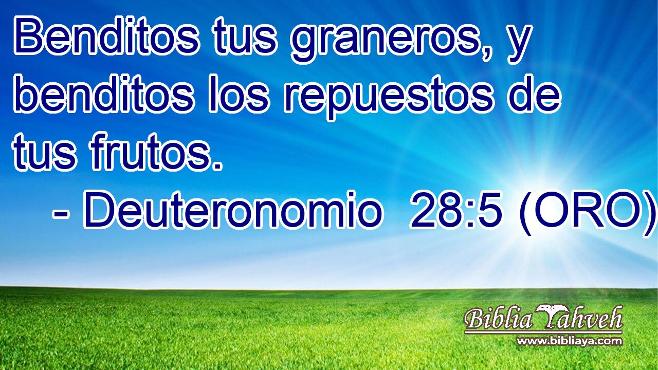 Benditos tus graneros, y benditos los repuestos de tus frutos. 