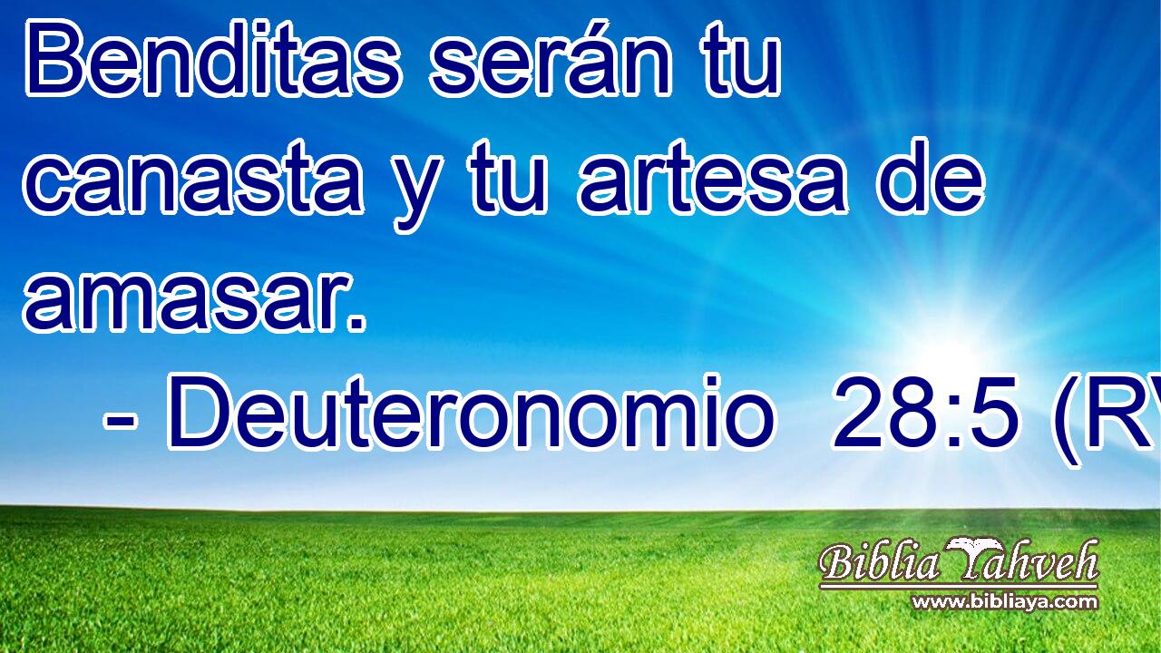 Benditas serán tu canasta y tu artesa de amasar.
