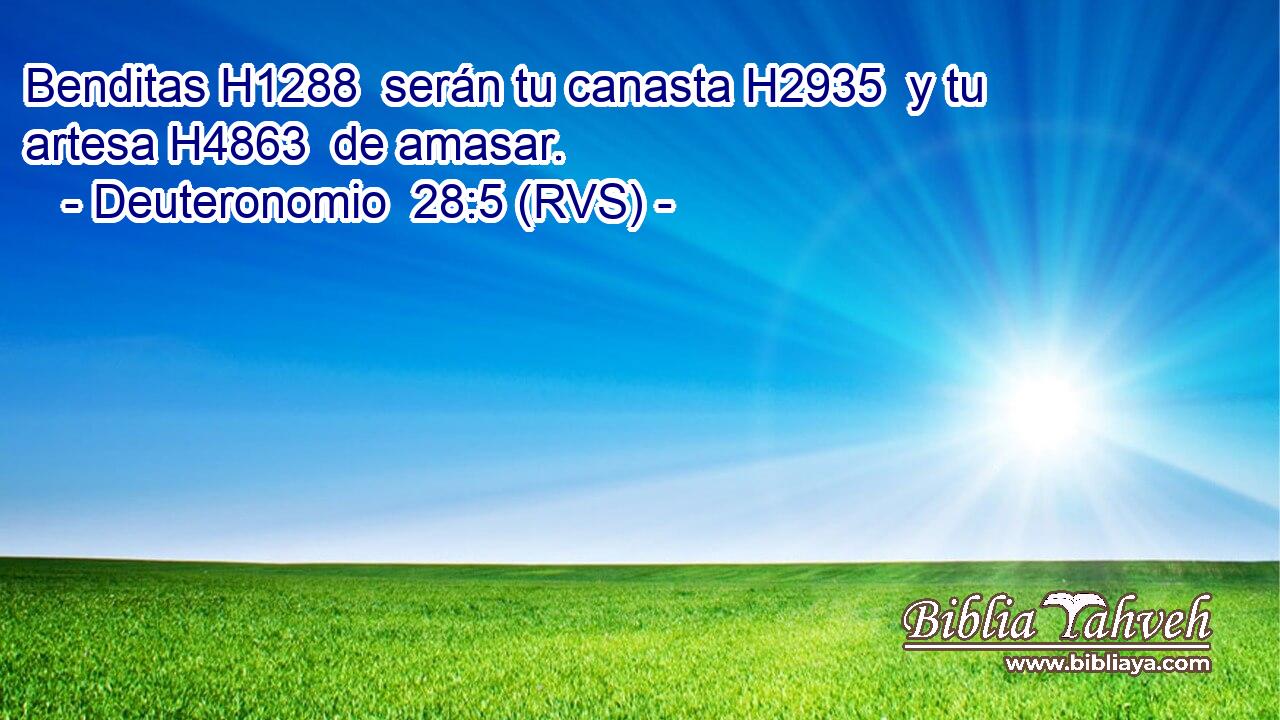 Benditas H1288  serán tu canasta H2935  y tu artesa H4863  de amasar. 
