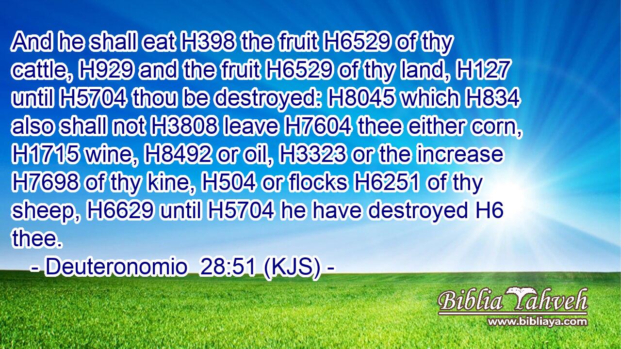 And he shall eat H398 the fruit H6529 of thy cattle, H929 and the fruit H6529 of thy land, H127 until H5704 thou be destroyed: H8045 which H834 also shall not H3808 leave H7604 thee either corn, H1715 wine, H8492 or oil, H3323 or the increase H7698 of thy kine, H504 or flocks H6251 of thy sheep, H6629 until H5704 he have destroyed H6 thee.