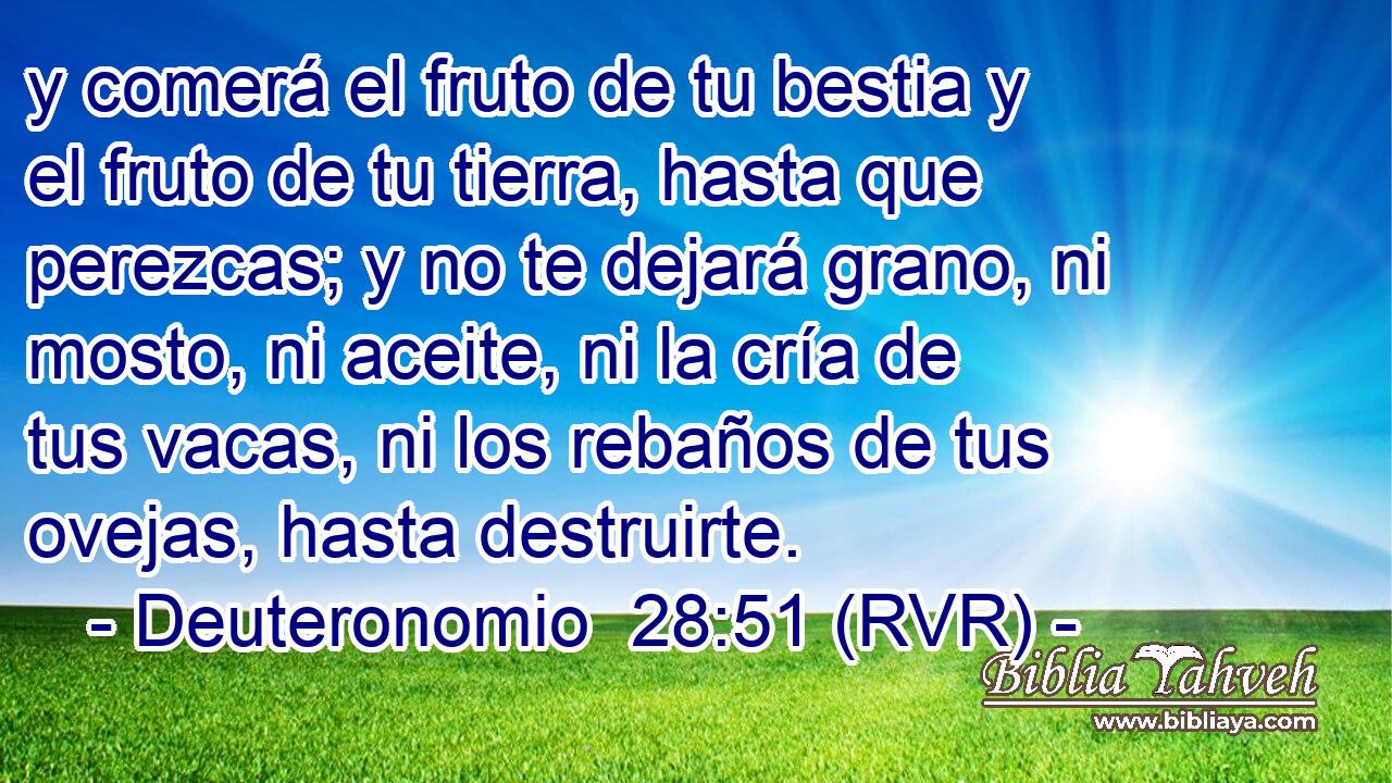 y comerá el fruto de tu bestia y el fruto de tu tierra, hasta que perezcas; y no te dejará grano, ni mosto, ni aceite, ni la cría de tus vacas, ni los rebaños de tus ovejas, hasta destruirte.