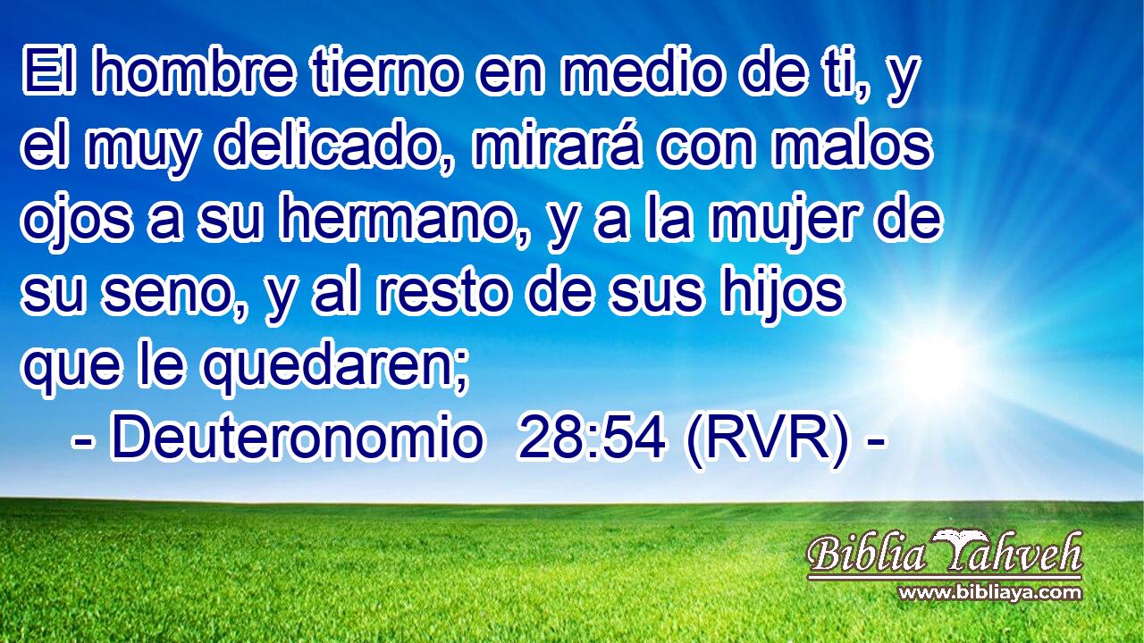 El hombre tierno en medio de ti, y el muy delicado, mirará con malos ojos a su hermano, y a la mujer de su seno, y al resto de sus hijos que le quedaren;