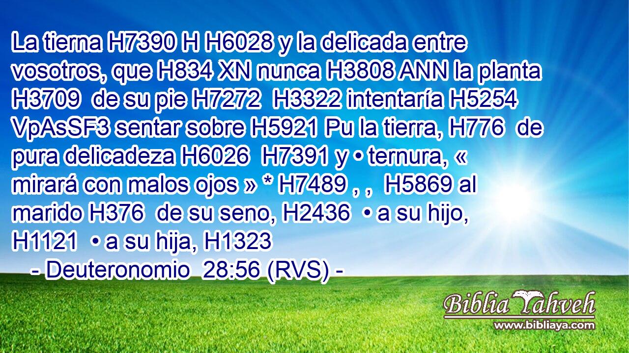 La tierna H7390 H H6028 y la delicada entre vosotros, que H834 XN nunca H3808 ANN la planta H3709  de su pie H7272  H3322 intentaría H5254 VpAsSF3 sentar sobre H5921 Pu la tierra, H776  de pura delicadeza H6026  H7391 y • ternura, « mirará con malos ojos » * H7489 , ,  H5869 al marido H376  de su seno, H2436  • a su hijo, H1121  • a su hija, H1323  
