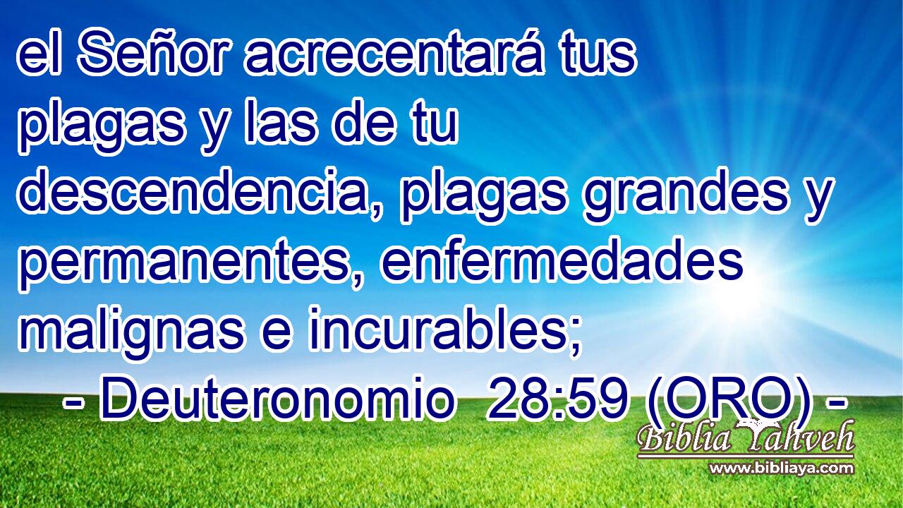  el Señor acrecentará tus plagas y las de tu descendencia, plagas grandes y permanentes, enfermedades malignas e incurables; 