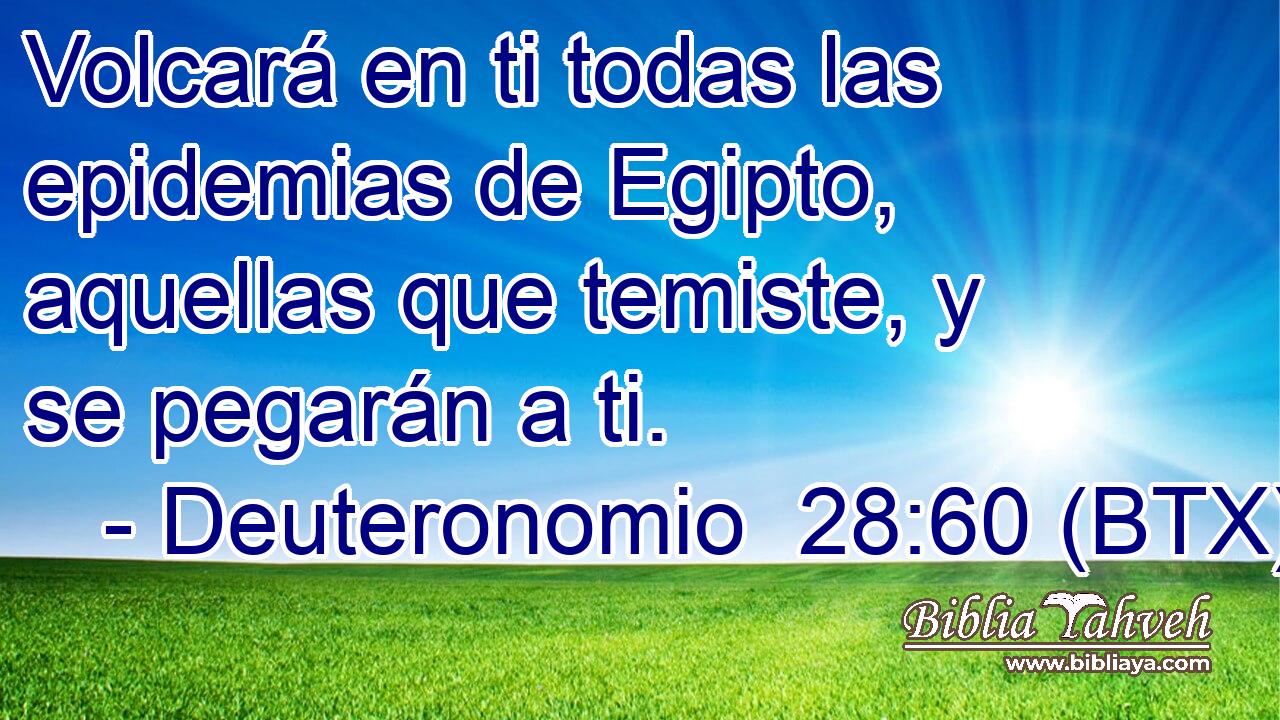 Volcará en ti todas las epidemias de Egipto, aquellas que temiste, y se pegarán a ti.