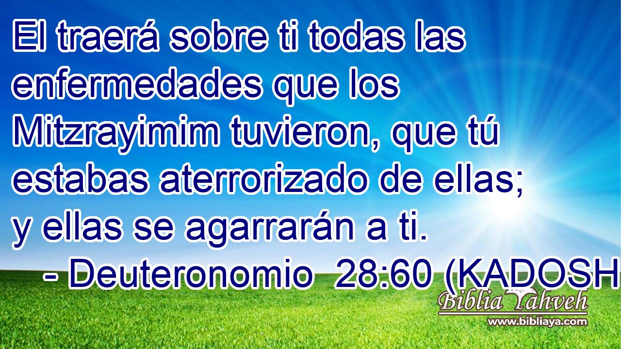  El traerá sobre ti todas las enfermedades que los Mitzrayimim tuvieron, que tú estabas aterrorizado de ellas; y ellas se agarrarán a ti. 