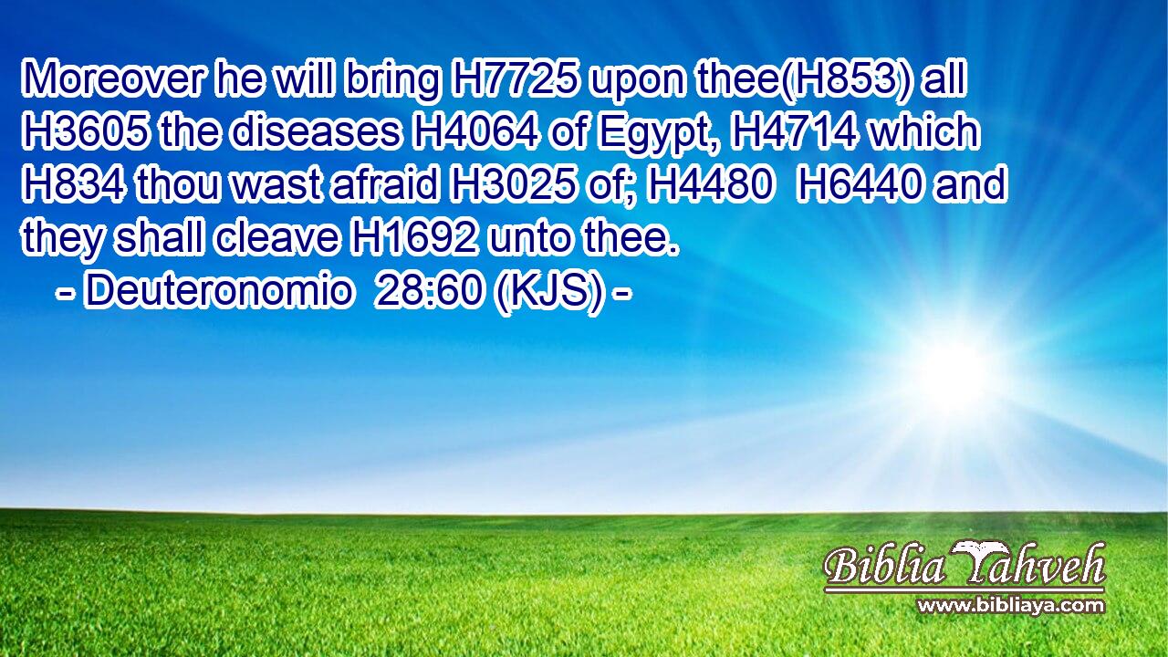 Moreover he will bring H7725 upon thee(H853) all H3605 the diseases H4064 of Egypt, H4714 which H834 thou wast afraid H3025 of; H4480  H6440 and they shall cleave H1692 unto thee.