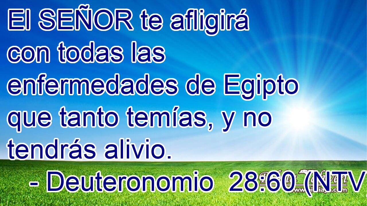 El SEÑOR te afligirá con todas las enfermedades de Egipto que tanto temías, y no tendrás alivio.